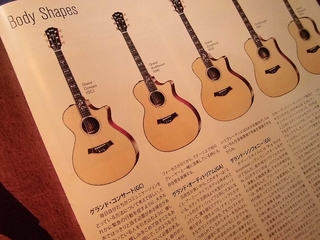 シェイプ(5種類)