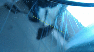 scratch.gif