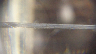 exp-2nd.jpg