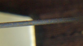 2012-05-03-2nd.jpg