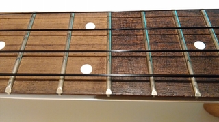 close-up.jpg